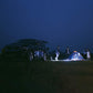 Helian Portable Mini Cat Outdoor Camping Light LED Strip-5M-High End, Advanced Version - Helian Lighting